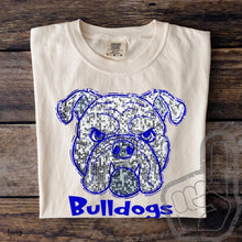 Load image into Gallery viewer, Assorted Faux Sequin II Mascots Direct To Film (DTF) Transfers