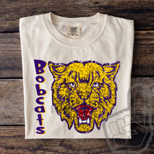 Load image into Gallery viewer, Assorted Faux Sequin II Mascots Direct To Film (DTF) Transfers