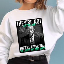 Load image into Gallery viewer, Assorted Trump Direct To Film (DTF) Transfer