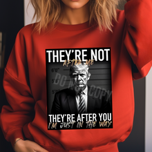 Load image into Gallery viewer, Assorted Trump Direct To Film (DTF) Transfer