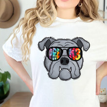 Load image into Gallery viewer, BULLDOG Tie Die Aviator Mascots Direct To Film (DTF) Transfers