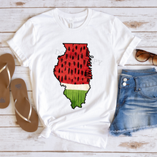 Load image into Gallery viewer, Assorted Illinois Direct To Film (DTF) Transfers