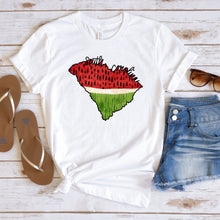 Load image into Gallery viewer, Assorted South Carolina Direct To Film (DTF) Transfers