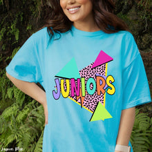 Load image into Gallery viewer, Assorted Retro School Grade & Titles Direct To Film (DTF) Transfers