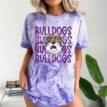 Load image into Gallery viewer, Assorted Bling Sports Stacks Direct To Film (DTF) Transfers