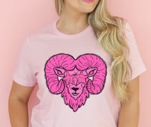 Load image into Gallery viewer, Assorted Pink BCA Glitter Star Eyed Mascots Direct To Film (DTF) Transfers