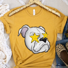 Load image into Gallery viewer, Assorted Glitter Star Eyed Mascots Direct To Film (DTF) Transfers