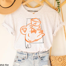 Load image into Gallery viewer, Assorted Distressed State and Mascot Direct To Film (DTF) Transfers