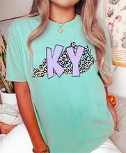 Load image into Gallery viewer, Assorted Funky Pastel Leopard States Direct To Film (DTF) Transfers