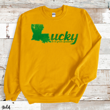 Load image into Gallery viewer, Assorted CAJUN Direct To Film (DTF) Transfers