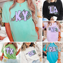 Load image into Gallery viewer, Assorted Funky Pastel Leopard States Direct To Film (DTF) Transfers