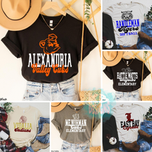 Load image into Gallery viewer, Assorted Retro Block and Script with Mascot Direct To Film (DTF) Transfers