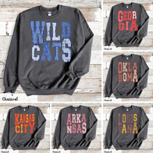 Load image into Gallery viewer, Assorted Multi Block States and Mascots Direct To Film (DTF) Transfers