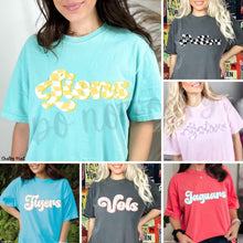 Load image into Gallery viewer, Assorted Wavy Checkered Words Direct To Film (DTF) Transfers