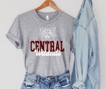 Load image into Gallery viewer, Assorted Retro Block and Script with Mascot Direct To Film (DTF) Transfers