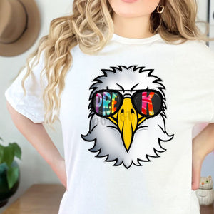 EAGLE Tie Die Aviator Mascots Direct To Film (DTF) Transfers