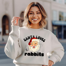 Load image into Gallery viewer, Assorted Santa Loves The [MASCOT]s Direct To Film (DTF) Transfers
