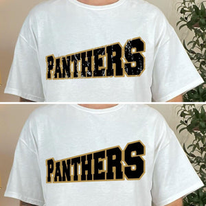CUSTOM Distressed (or non-distressed) Mascot Direct To Film (DTF) Transfers